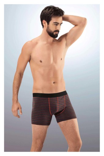 ANIT OUTLET - Anıt Erkek Boxer Çizgili Desenli