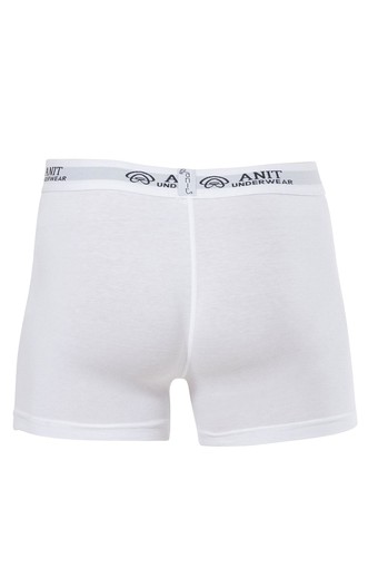 ANIT - Anıt Erkek Boxer Likralı Biyeli (1)