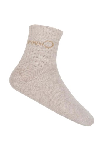 ARTI - Artı Erkek Çocuk Soket Çorap Lory