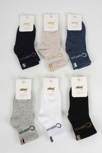 ARTI - Artı Erkek Çocuk Soket Çorap Lory (1)