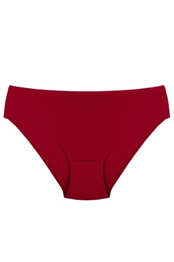 AYDOĞAN - Aydoğan Kadın Slip Külot Likralı Pamuk