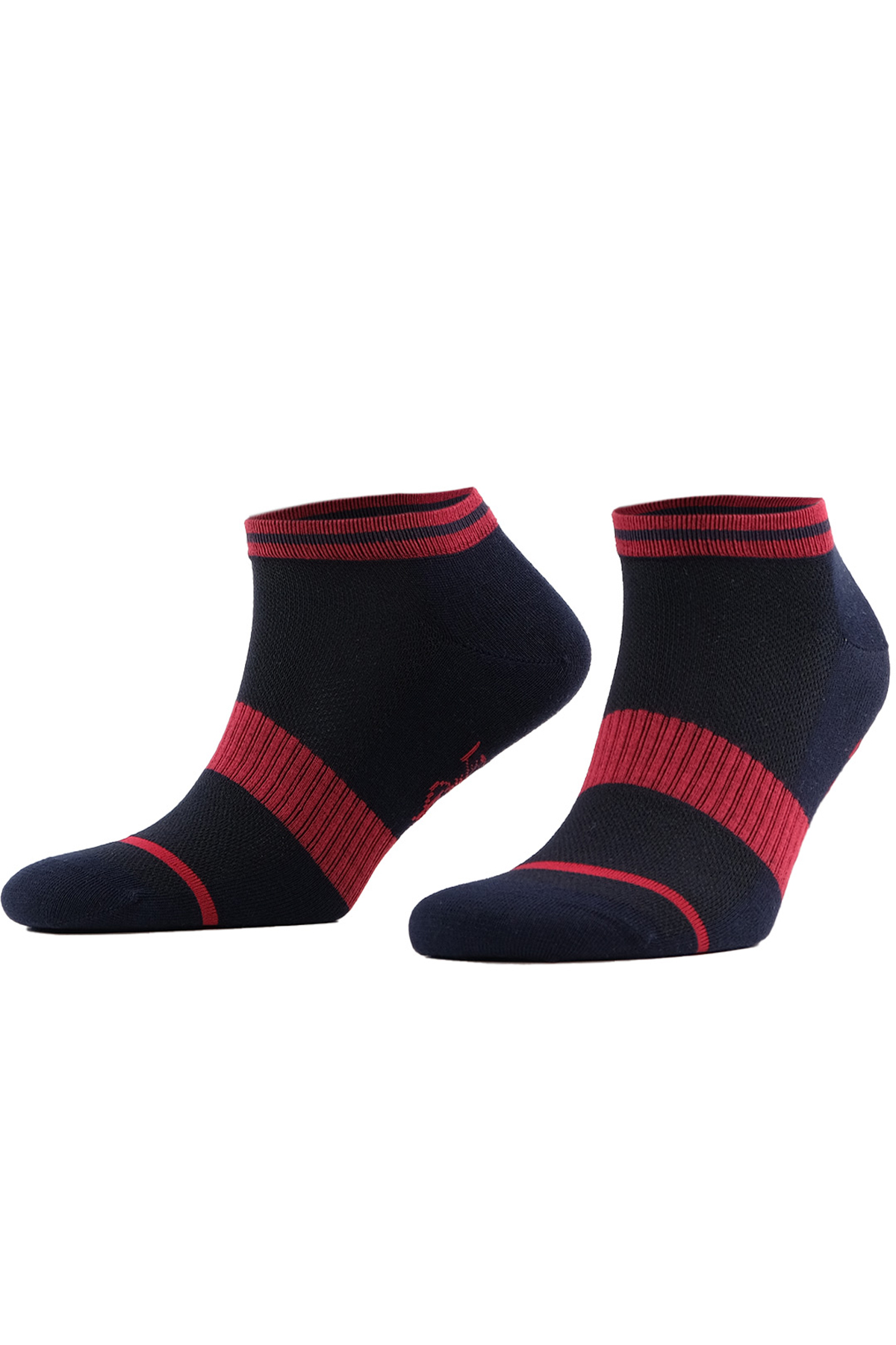 Aytuğ Erkek Renk Desenli Dikişsiz Patik Çorap Penye - Thumbnail