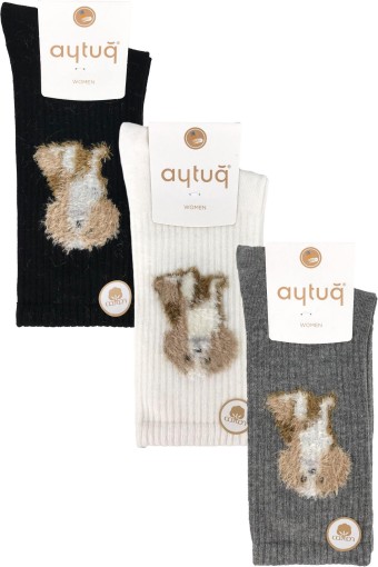 AYTUĞ - Aytuğ Kadın Soket Çorap Likralı Dikişsiz Pamuklu Desen 10 (1)