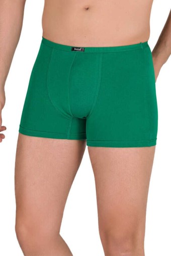 BERRAK - Berrak Erkek Boxer Modal İnce Lastik Düz - Yeşil - XL