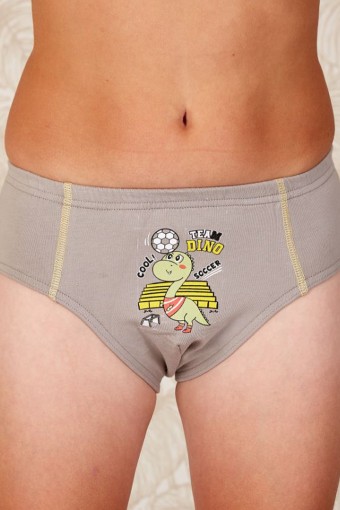 BERRAK - Berrak Erkek Çocuk Baskılı Pamuk Slip Külot - Asorti - 3(4-5 Yaş)