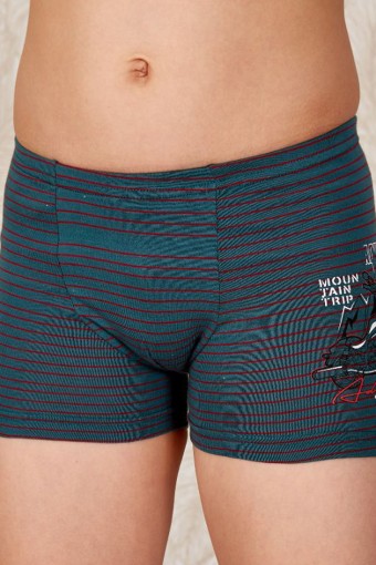 BERRAK - Berrak Erkek Çocuk Çizgili Mountain Trip Baskılı Pamuk Boxer - Asorti - 6(8-9 Yaş)