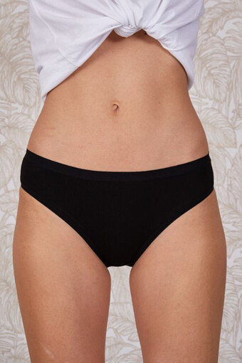 BERRAK - Berrak Kadın Modal Slip Külot (1)