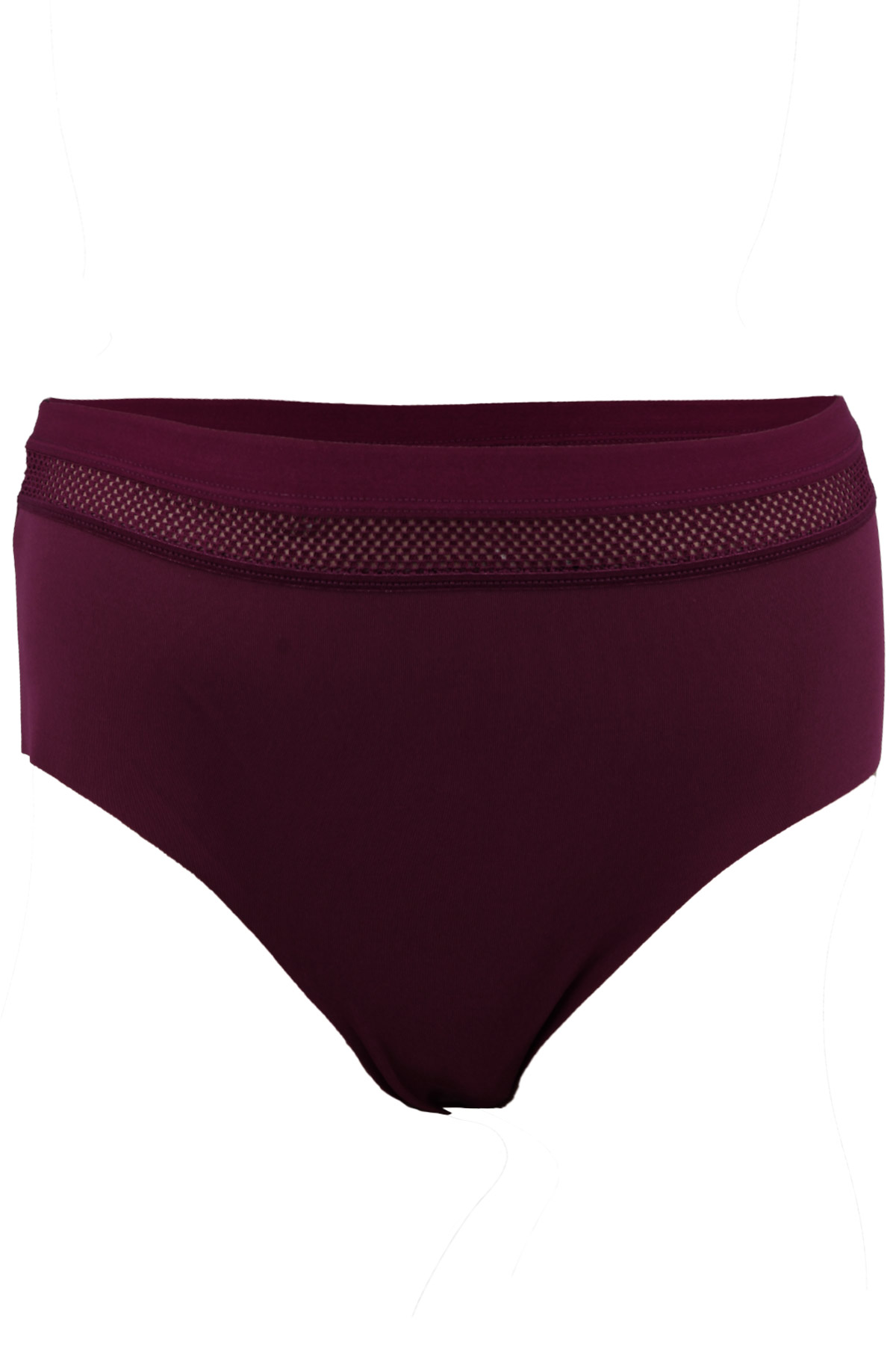 Cotton Hill Lazer Kesim Lastik Detaylı Büyük Beden Bikini Külot - Thumbnail