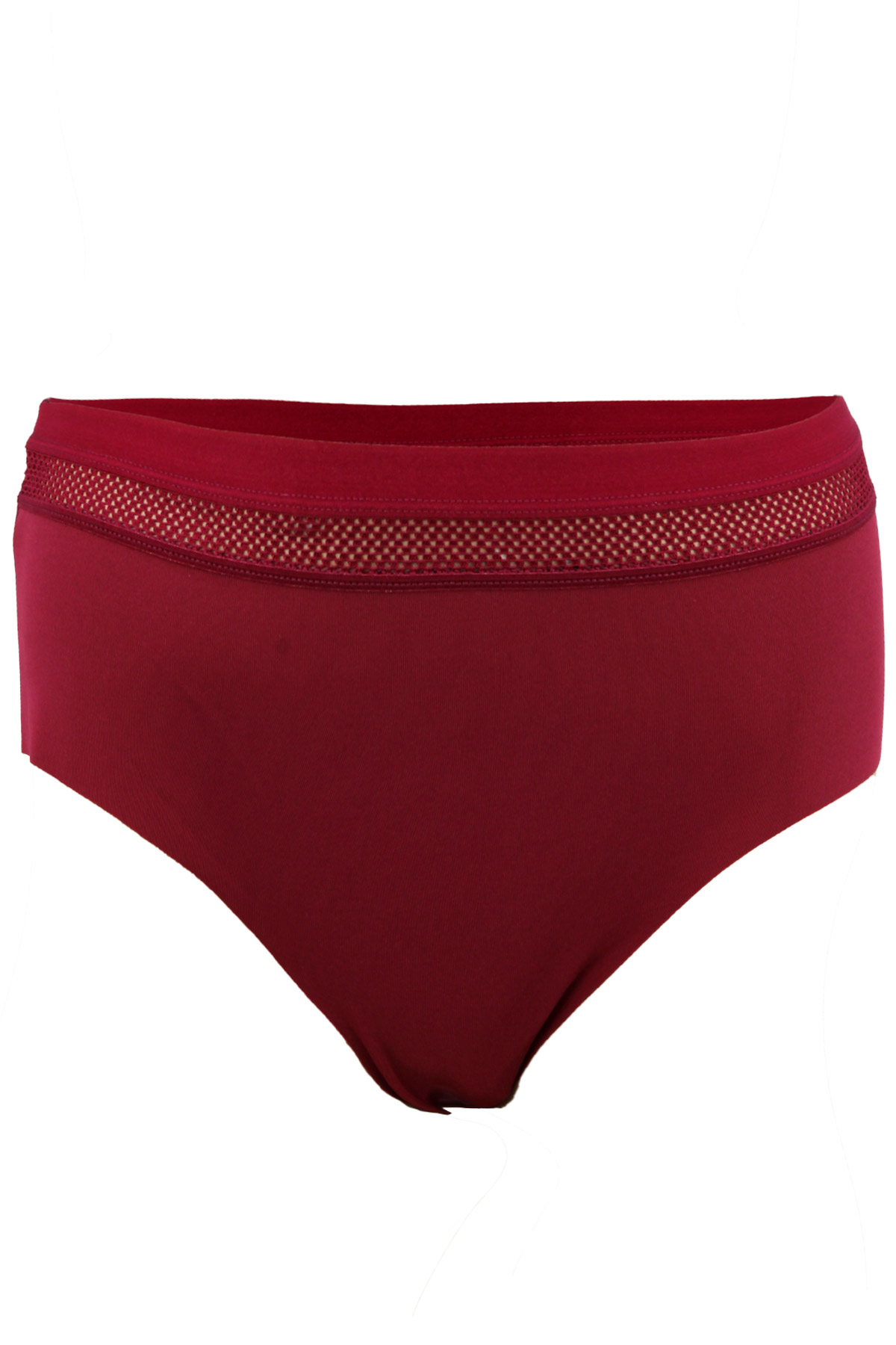 Cotton Hill Lazer Kesim Lastik Detaylı Büyük Beden Bikini Külot - Thumbnail