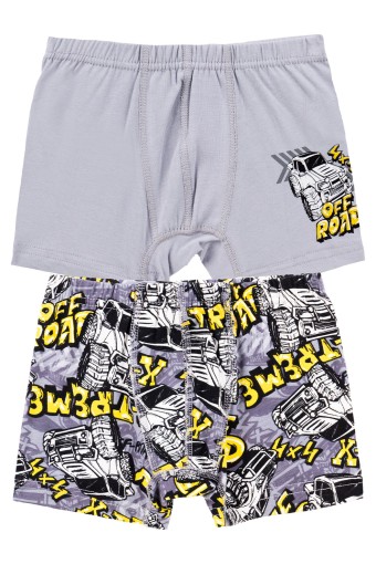 Domi - Domi Kids Erkek Çocuk Boxer 2'li - Asorti