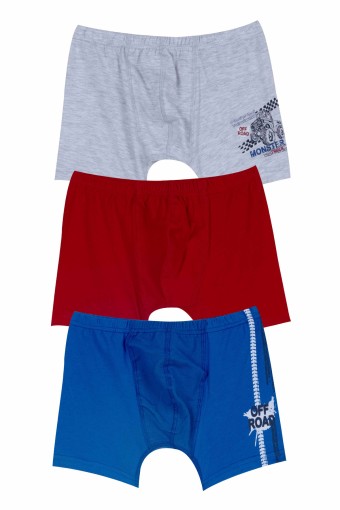 Domi - Domi Kids Erkek Çocuk Boxer 3'lü - Asorti