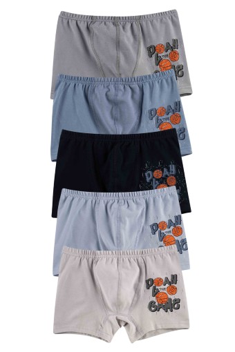 Domi - Domi Kids Erkek Çocuk Boxer Baskılı