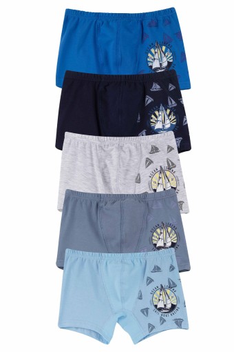 Domi - Domi Kids Erkek Çocuk Boxer Baskılı (1)