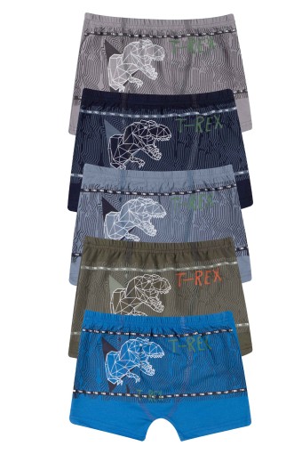 Domi - Domi Kids Erkek Çocuk Boxer Baskılı