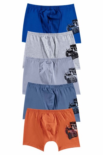 Domi - Domi Kids Erkek Çocuk Boxer Baskılı