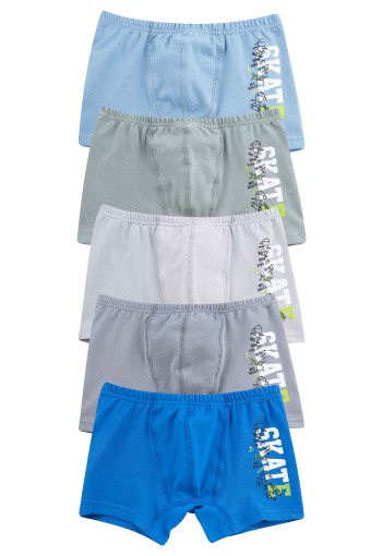 Domi - Domi Kids Erkek Çocuk Boxer Baskılı (1)