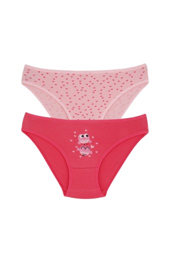 Domi - Domi Kids Kız Çocuk Bikini Külot 2'li - Asorti