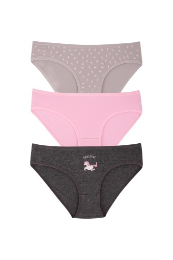 DOMİNANT - Dominant Kadın Bato Külot Büyük Beden 3'lü - ASORTİ