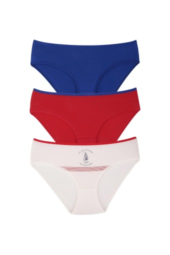 DOMİNANT - Dominant Kadın Bato Külot Büyük Beden 3'lü - ASORTİ