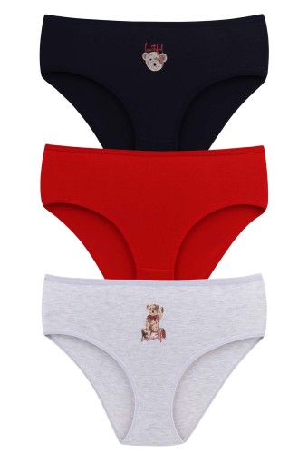 DOMİNANT - Dominant Kadın Bato Külot Büyük Beden 3'lü - Asorti