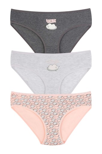 DOMİNANT - Dominant Kadın Bato Külot Büyük Beden 3'lü - Asorti