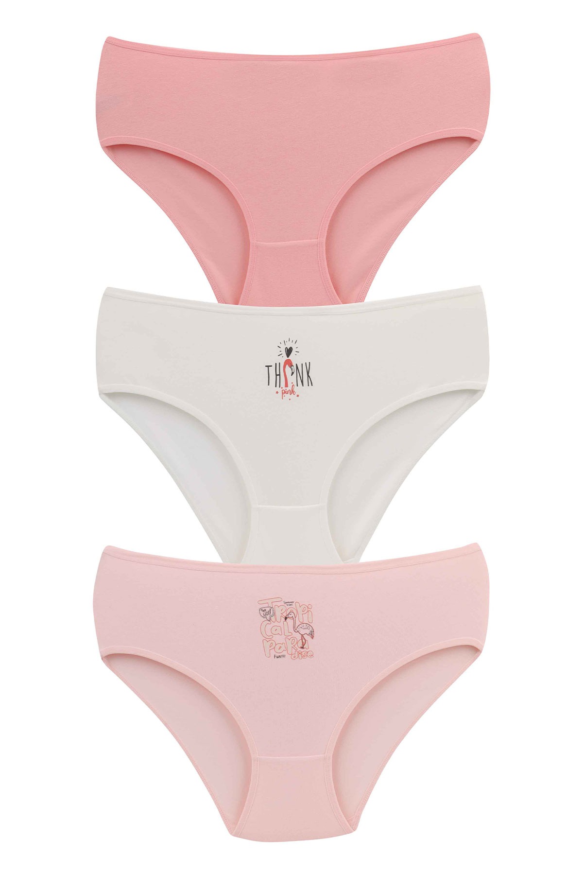 Dominant Kadın Bato Külot Büyük Beden 3'lü - Asorti - Thumbnail