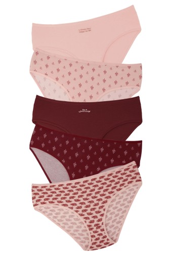 DOMİNANT - Dominant Kadın Bato Külot Büyük Beden 5'li Desenli - Asorti