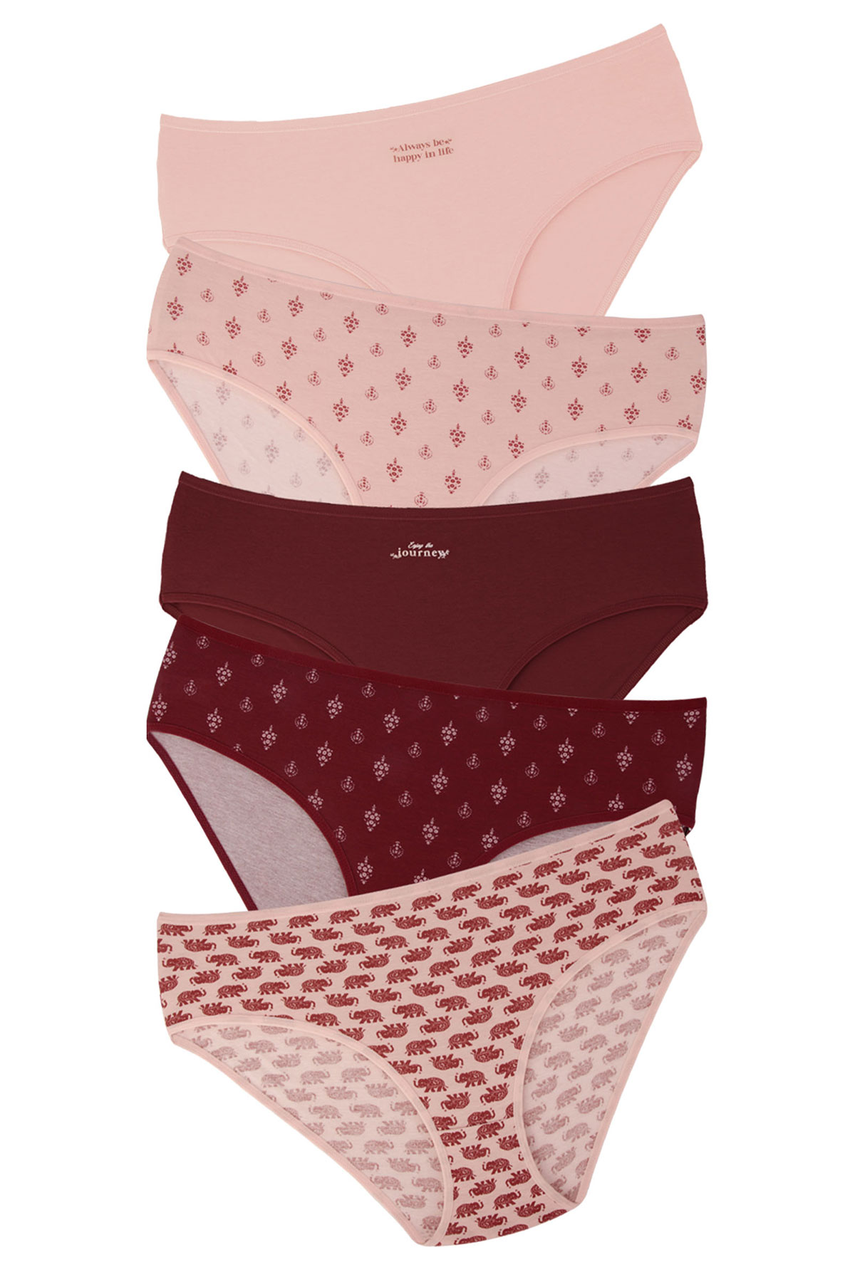 Dominant Kadın Bato Külot Büyük Beden 5'li Desenli - Asorti - Thumbnail