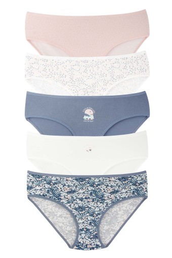 DOMİNANT - Dominant Kadın Bato Külot Büyük Beden 5'li Desenli - Asorti