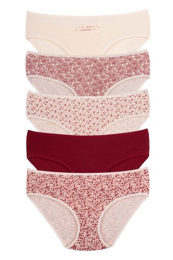 DOMİNANT - Dominant Kadın Bato Külot Büyük Beden 5'li Desenli - Asorti