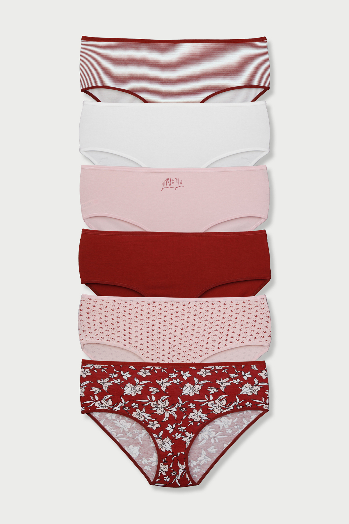 Dominant Kadın Bato Külot Büyük Beden 6'lı - Asorti - Thumbnail