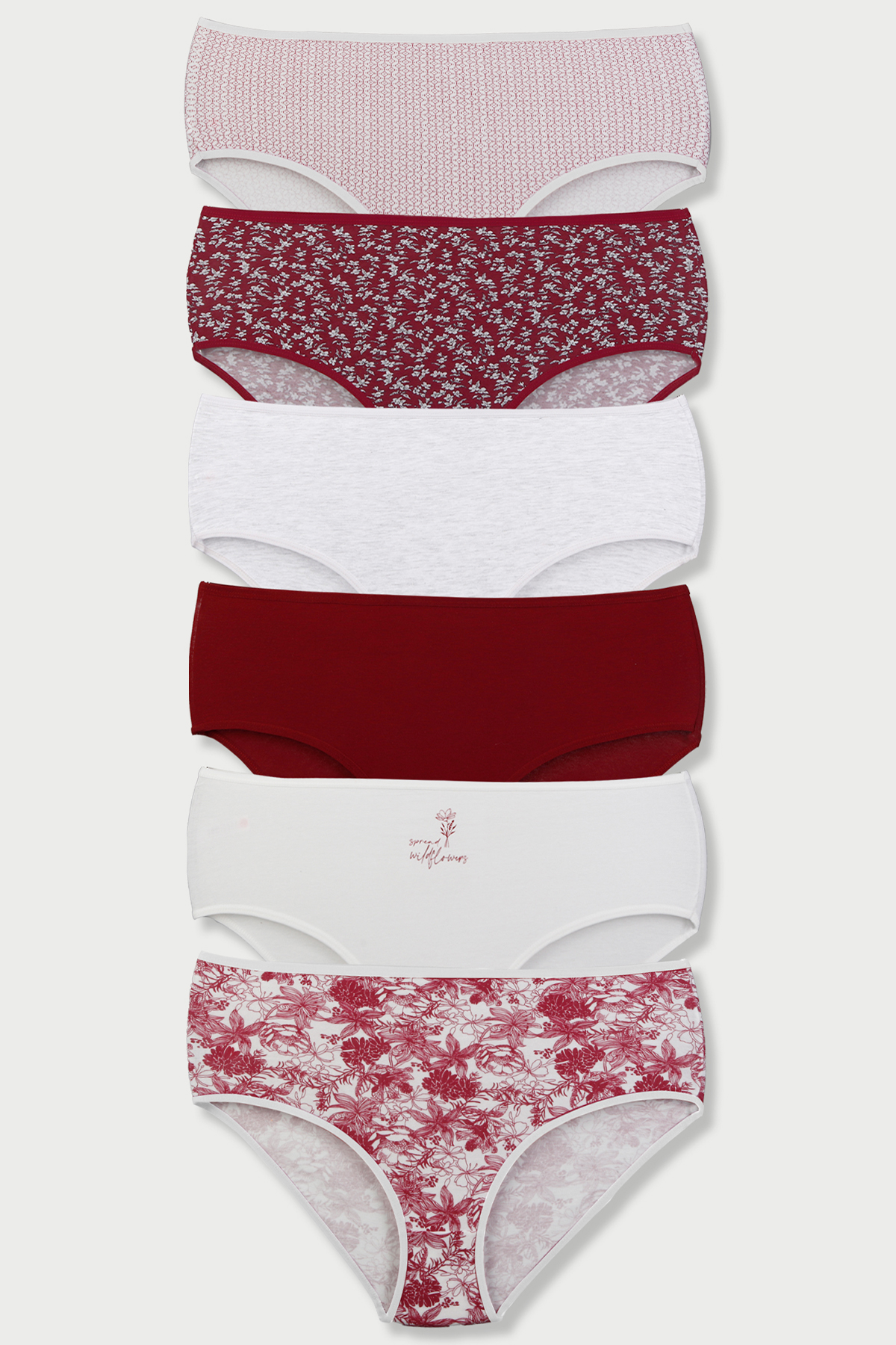 Dominant Kadın Bato Külot Büyük Beden 6'lı - Asorti - Thumbnail