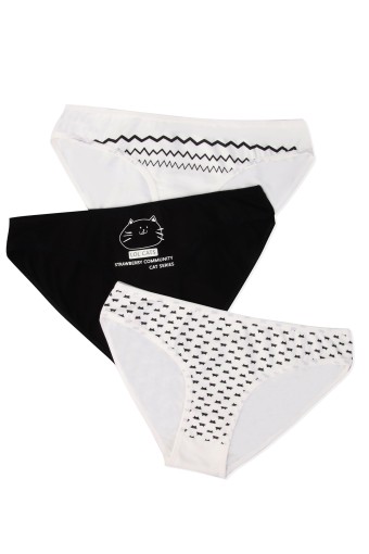 DOMİNANT - Dominant Kadın Bikini Külot 3'lü - Asorti