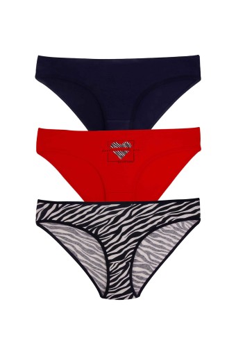 DOMİNANT - Dominant Kadın Bikini Külot 3'lü - Asorti