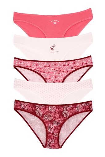 DOMİNANT - Dominant Kadın Slip Bikini Desenli Külot 5'li - Asorti