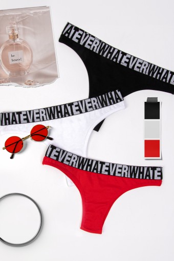 DOMİNANT - Dominant Kadın Slip Bikini Külot 3'lü - Asorti