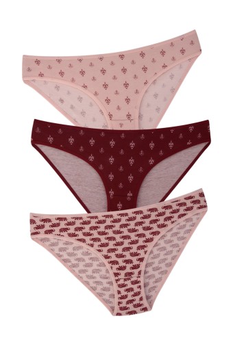 DOMİNANT - Dominant Kadın Slip Bikini Külot 3'lü - Asorti