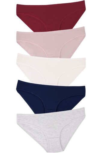 DOMİNANT - Dominant Kadın Slip Bikini Külot 5'li - Asorti