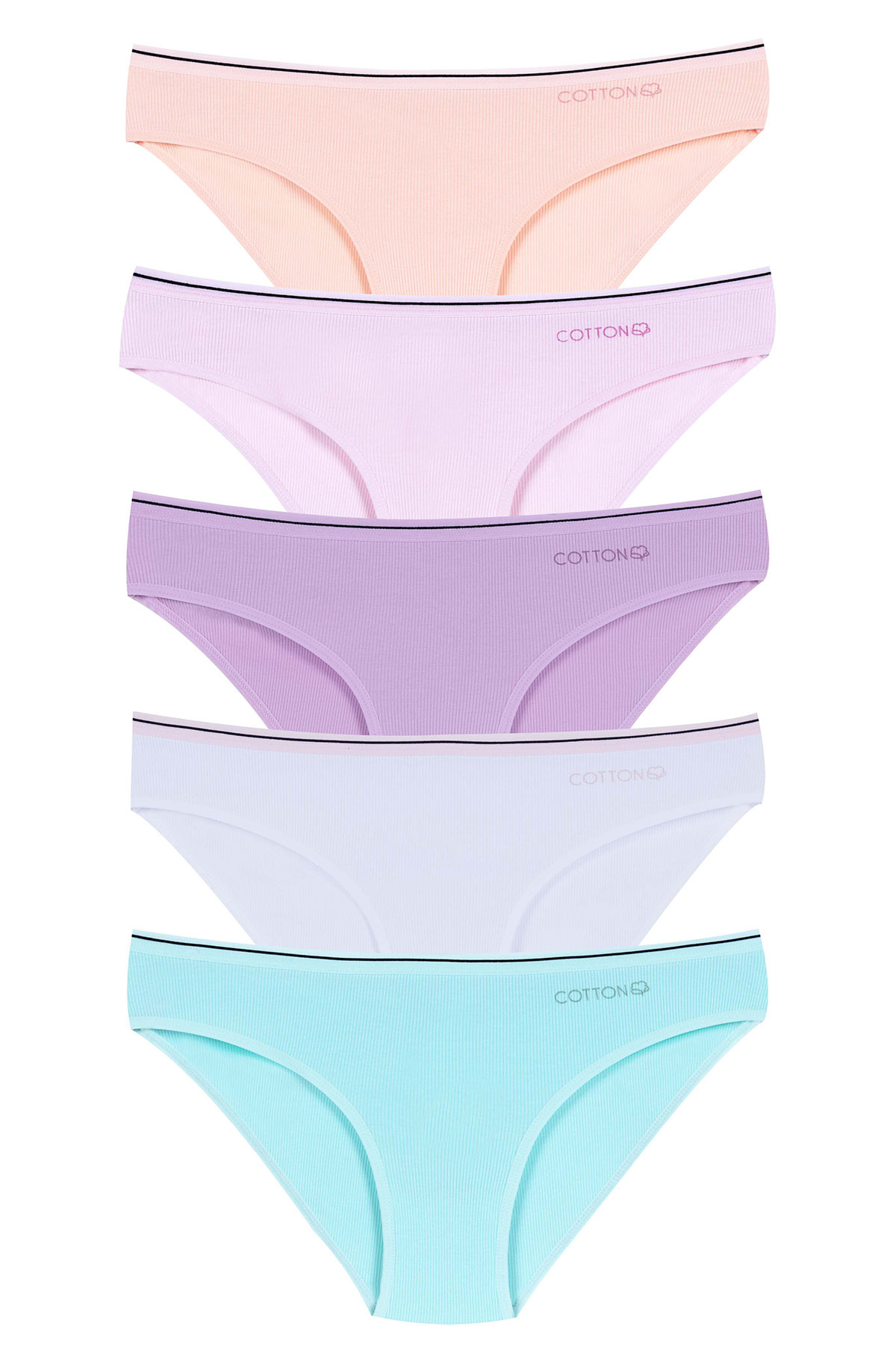 Dominant Kadın Slip Bikini Külot Beli Lastikli Çizgili - Thumbnail