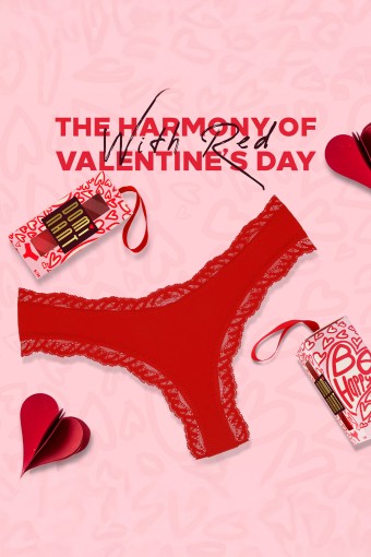 DOMİNANT - Dominant Kadın Slip Bikini Külot Yılbaşı Bel Kenar Dantelli Kutulu (1)