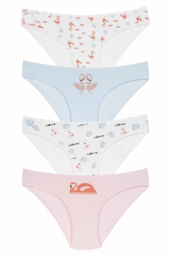 DOMİNANT - Dominant Kadın Slip Külot Desenli (1)