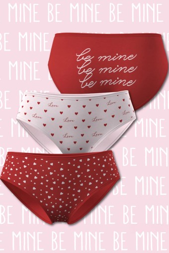 DOMİNANT - Dominant Kadın Yüksek Bel Bato Külot Büyük Beden