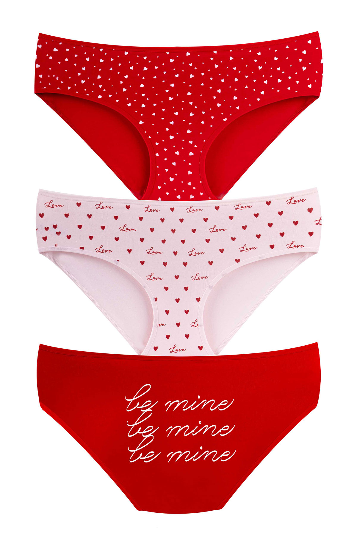 Dominant Kadın Yüksek Bel Bato Külot Büyük Beden - Thumbnail