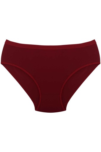 DORYA - Dorya Kadın İzsiz Penye Bato Külot (1)