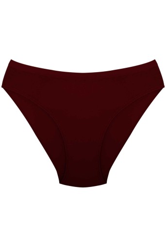 DORYA - Dorya Kadın Penye İzsiz Dikişsiz Külot (1)