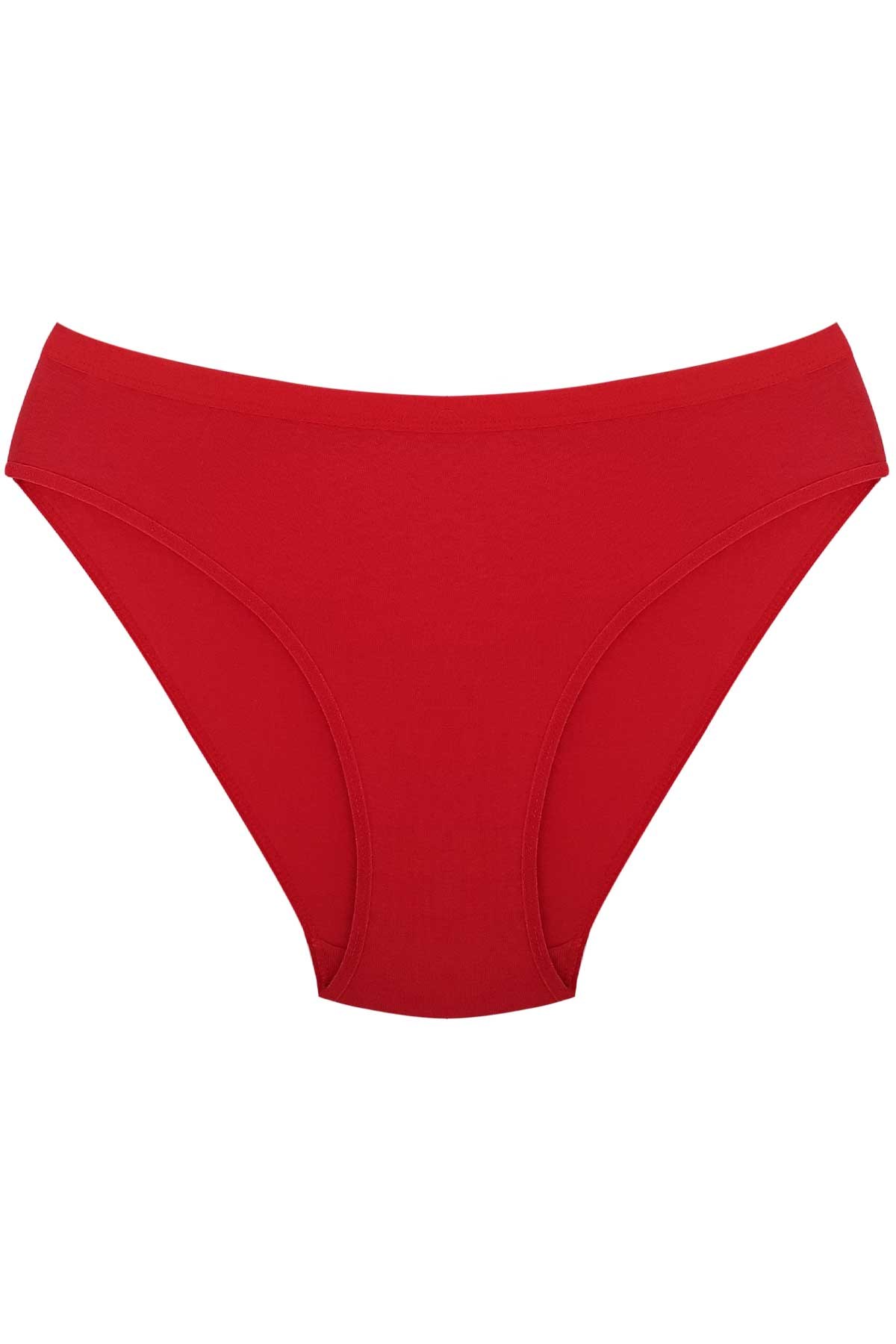 Dorya Kadın Penye İzsiz Dikişsiz Külot - Thumbnail