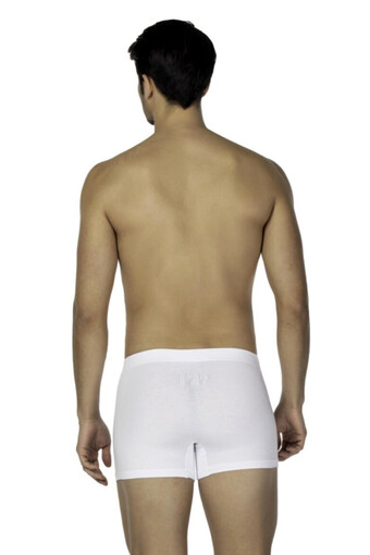 DS DAMAT - Ds Damat Erkek Boxer Hipster Trendy 2'li (1)