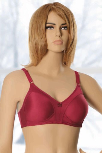 EBRU SÜTYEN - Ebru Kadın Toparlayıcı Sütyen Şardon (1)