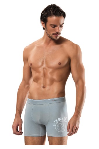 ERDEM - Erdem Erkek Boxer Likralı (1)