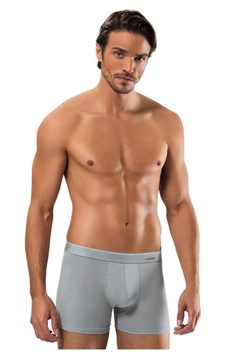 ERDEM - Erdem Erkek Boxer Likralı (1)